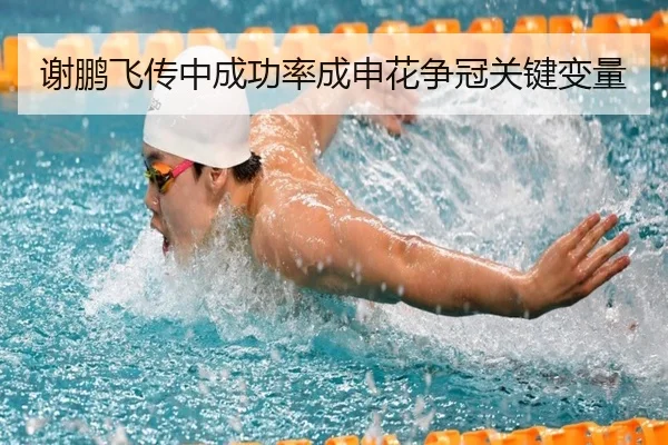 xie-peng-fei-chuan-zhong-cheng-gong-lv-cheng-shen-hua-zheng-guan-guan-jian-bian-liang-3-984.jpg