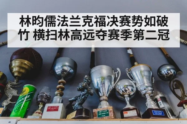 林昀儒法兰克福决赛势如破竹 横扫林高远夺赛季第二冠