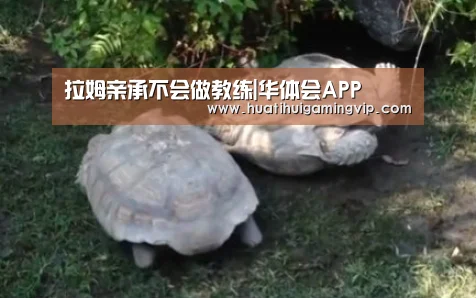 华体会官网