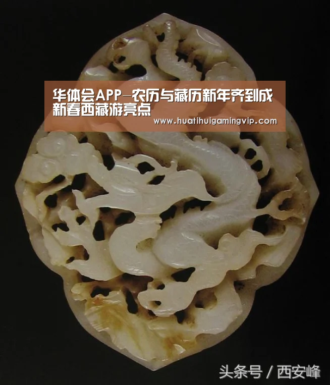华体会登录
